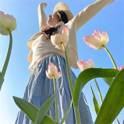 妖兽都市